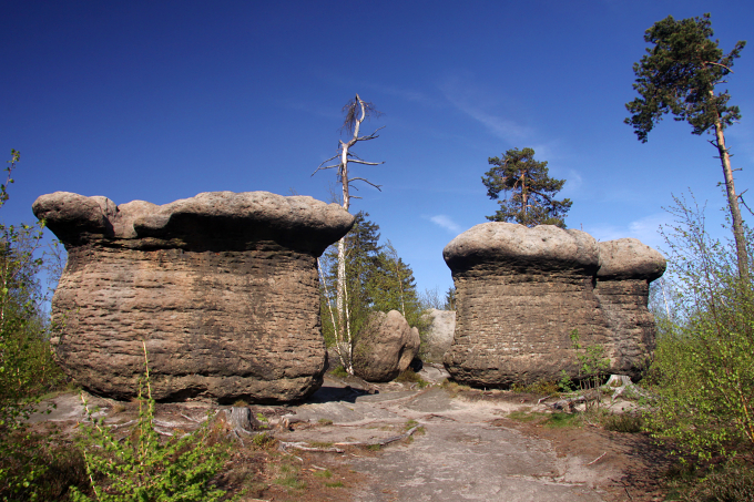 Broumovské stěny - skalní hřiby