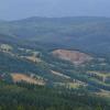 Pohled z Borůvkové hory - Rychleby