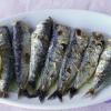 Kaloňské rybičky - Lesbos