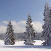 Rejvíz - ideální terén na test sněžnis